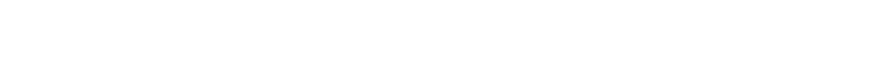 NumeriStar Logo